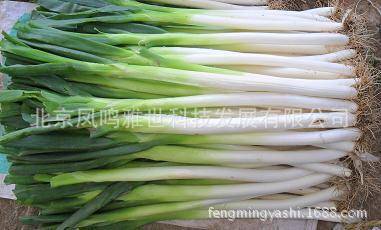 Special Vegetable 100pcs Seeds