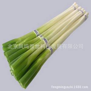 Special Vegetable 100pcs Seeds