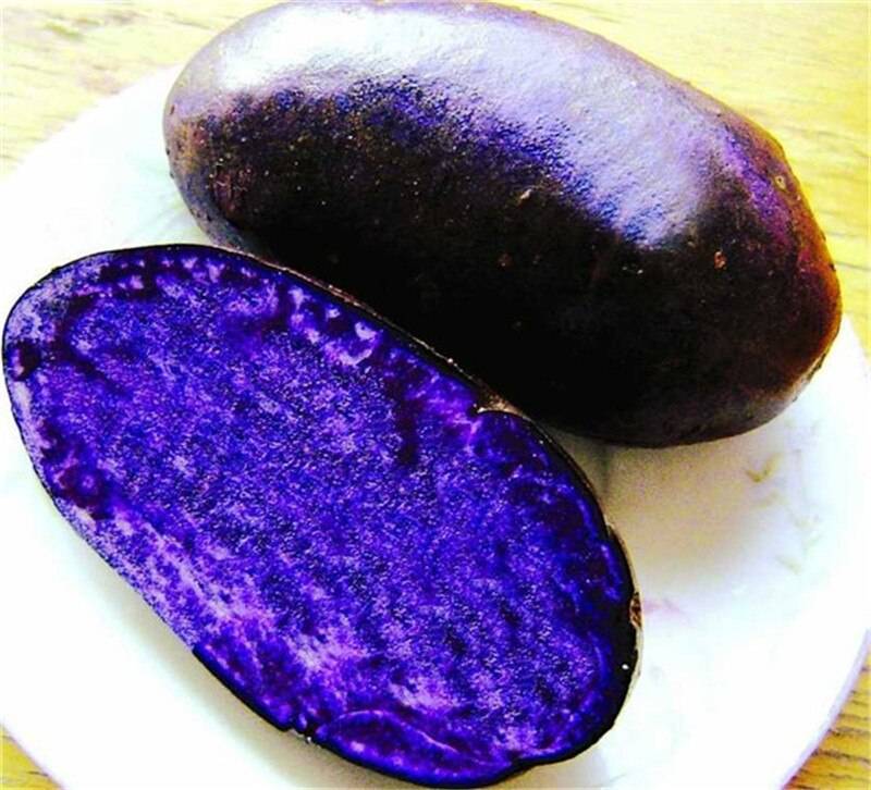 200 Pcs Purple ato Sweet Seeds