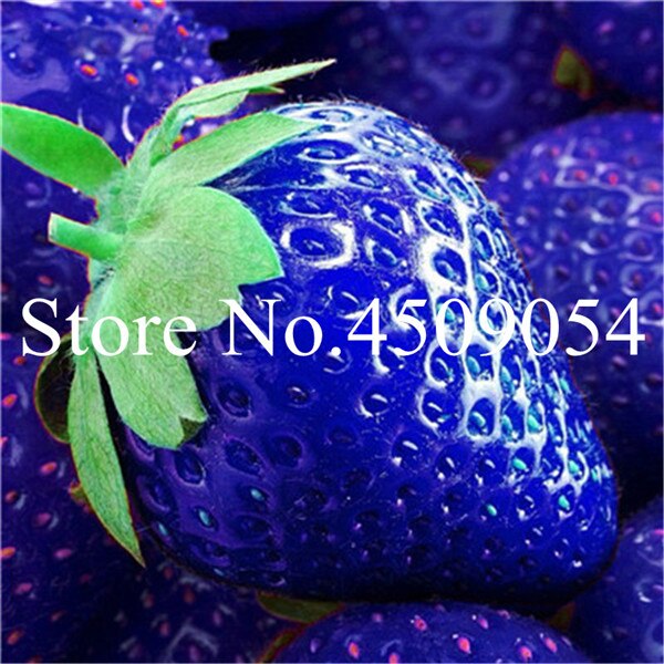 300 Pcs Blue Climbing Strawberry Seeds