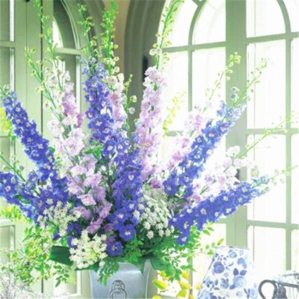 100 Pcs Delphinium Mix Giant Cultorum Seeds