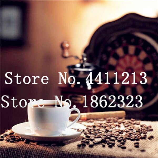 20 Pcs Coffee Beans Green Organic Seeds