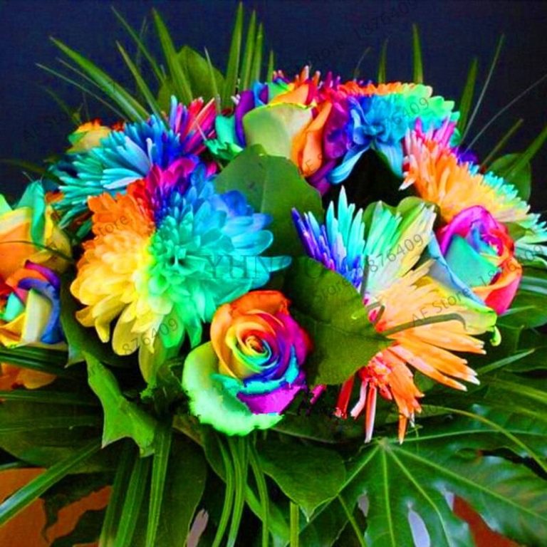 !200 Chrysanthemum Flower Bonsai Rainbow Flores Perennial Seeds