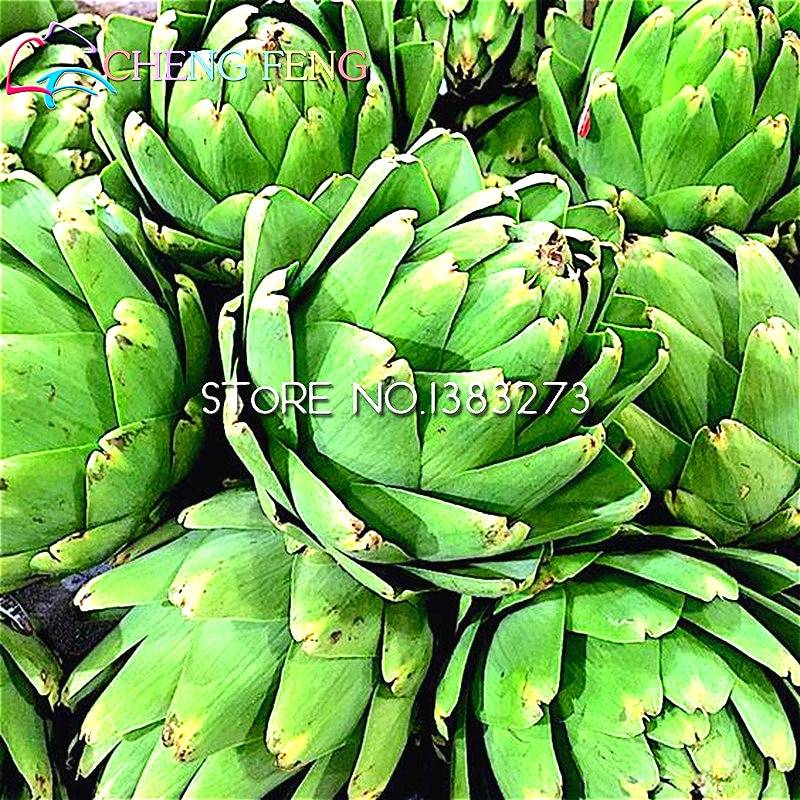 10Pcs Artichoke Seeds