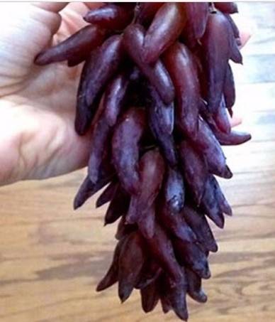 50pcs Red Grape Seeds