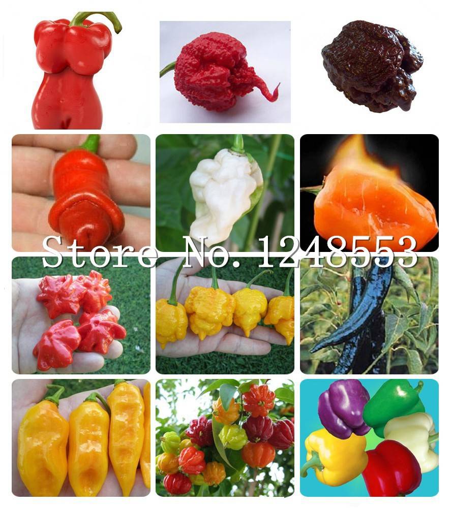 200pcs Hot Carolina Reaper Pepper Seeds